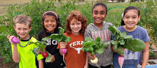 UT Austin Texas Sprouts Gardeners