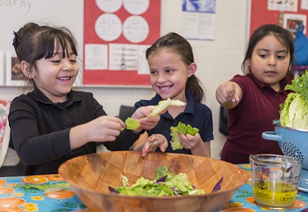 Girls making a salad in the school classroom.