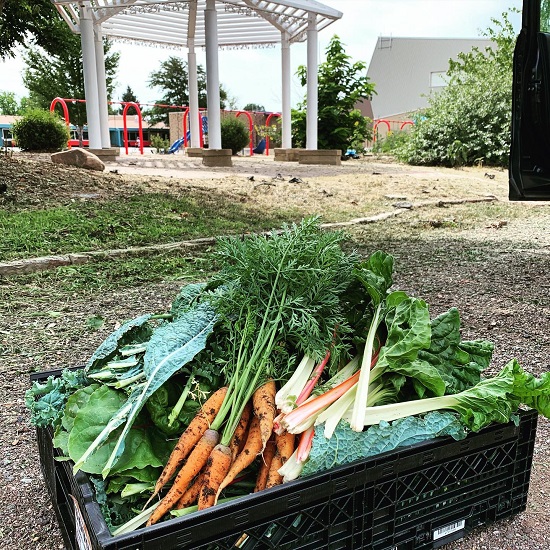 Vegetables harvested from a school garden sit in a produce basket in front of a swingset.