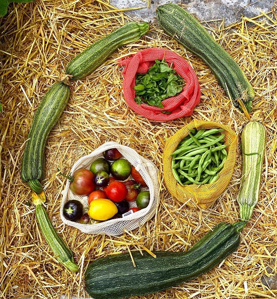 Fresh zucchini, tomatoes, green beans and herbs sit in bags at a school garden.