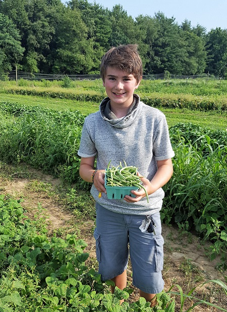 Boy holds a container of green beans on a farm.