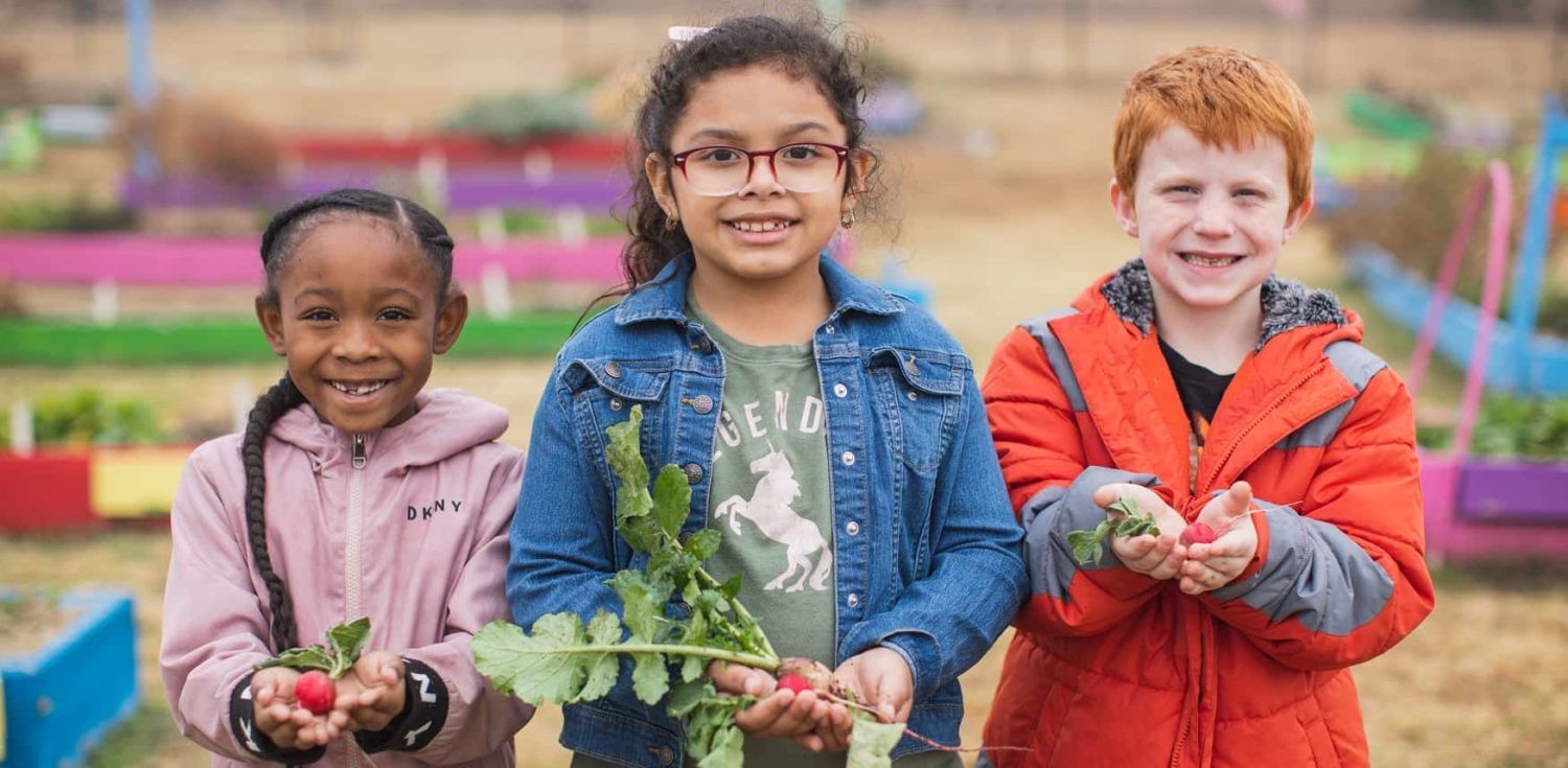 Three children holding radishes in a garden