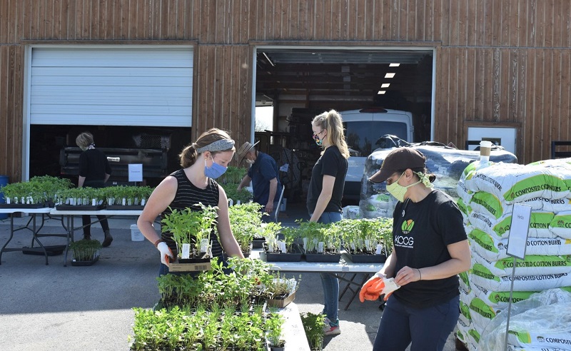 Volunteers sort plant seedlings for distribution to Kansas City residents this past summer.