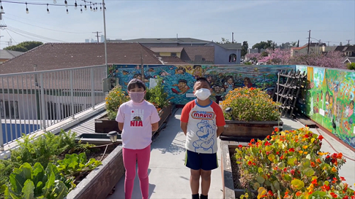 Students standing in a garden talk about their educational experience with GrowingGreat.