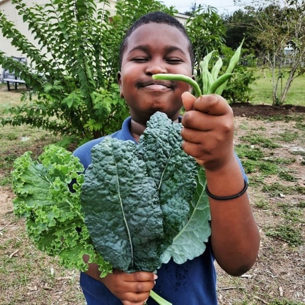 Boy smiles holding kale and green beans in a vegetable garden