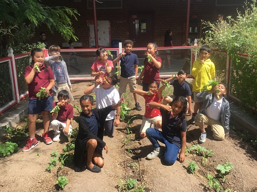 Students proudly hold their produce items in the school garden