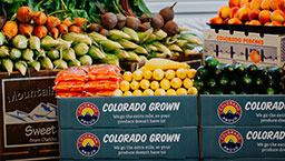 Colorado grown produce in crates