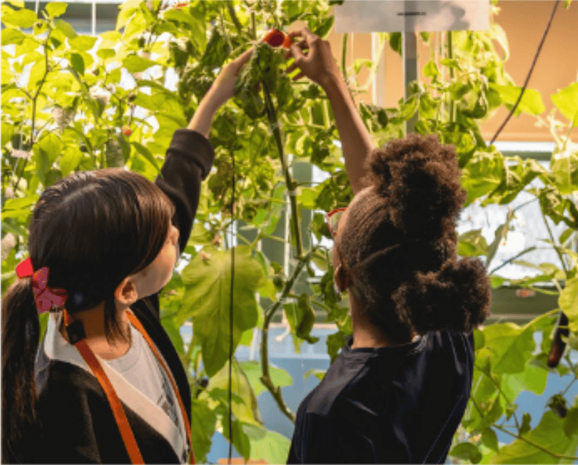 Kids learning to garden